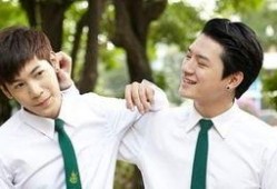 泰剧一年级生在线观看,青春校园的甜蜜成长之旅