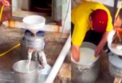 豆浆工厂爆料视频大全集,全方位爆料视频大全集深度解析