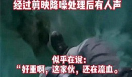 黑土爆料事件视频播放时间,真相背后引人深思