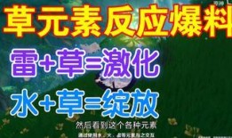 原神宣传草神爆料视频,原神全新角色预告片深度解析