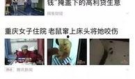 百度新闻爆料,揭秘重大事件背后真相