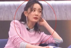 娱乐圈吃瓜公众号金晨,娱乐圈新晋“瓜王”，揭秘明星幕后故事