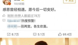 娱乐圈吃瓜大师小说,吃瓜大师的瓜田秘闻