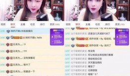 爆料职业女主播视频,职业背后的真相与争议