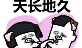 娱乐吃瓜闺蜜视频在线观看,娱乐吃瓜视频在线观看，笑料连连