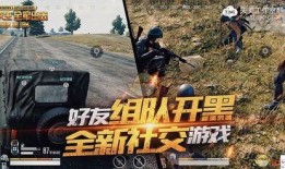 绝地求生老王爆料视频在线观看,揭秘游戏幕后真相与精彩瞬间