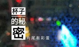 天津饭店爆料视频,揭露惊人内幕，食品安全引关注