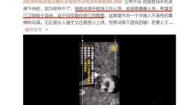 爆料视频真实的人是谁,爆料视频中的神秘人物身份大起底