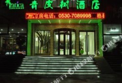 菏泽饭店爆料视频播放大全,一窥餐饮行业幕后真相
